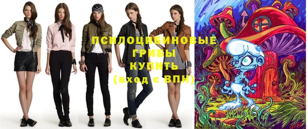 молекула духа Алзамай