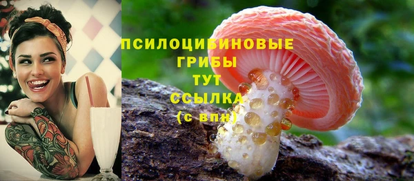 тгк Абаза