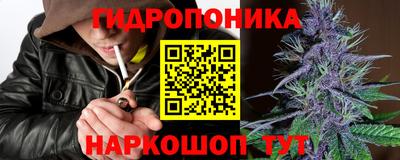 прущие грибы Моздок