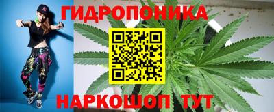прущие грибы Моздок