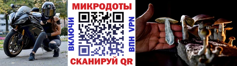OMG вход купить мориарти как зайти Псилоцибиновые грибы MAGIC MUSHROOMS Димитровград