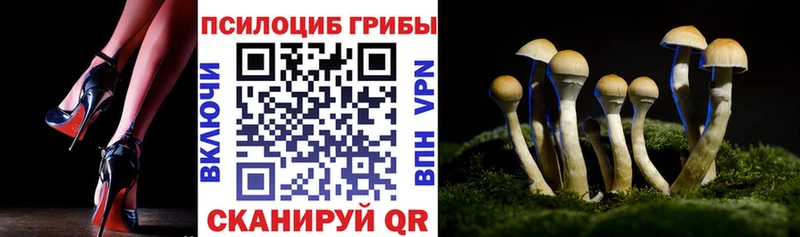 Псилоцибиновые грибы Magic Shrooms Димитровград