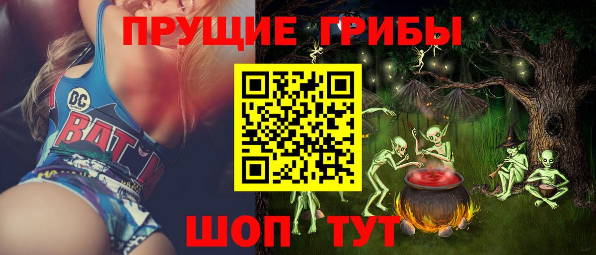 Псилоцибиновые грибы Psilocybine cubensis Димитровград